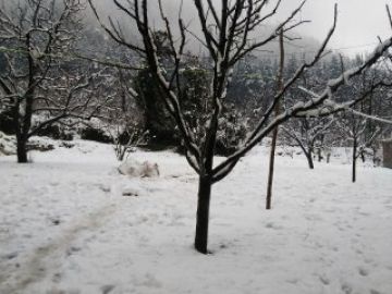 Shimla Tour Package for 5 Days from Delhi