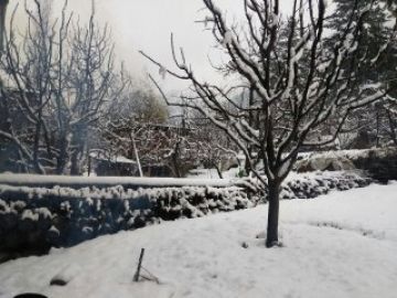 Shimla Tour Package for 5 Days from Delhi