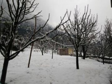 Shimla Tour Package for 5 Days from Delhi