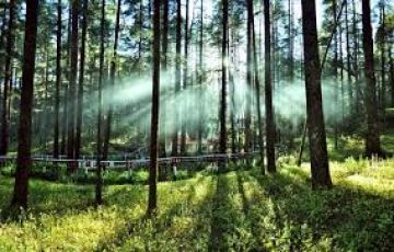 Pleasurable 3 Days New Delhi to Lansdowne Vacation Package