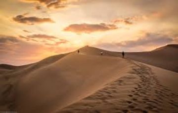 Shiraz Tour Package from Kashan, Iran