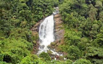 Beautiful Cochin Tour Package for 6 Days