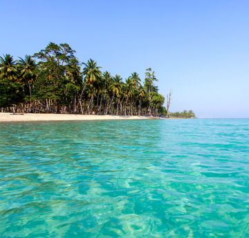 Experience 7 Days 6 Nights Port Blair, Havelock Island with Neil Island Vacation Package