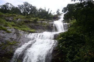 Amazing Alleppey Tour Package for 4 Days 3 Nights from Kochi