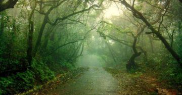 Memorable 2 Days 1 Night Panchgani and Mumbai Holiday Package