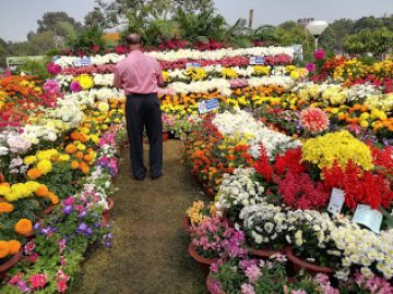 Magical 6 Days DAY 06 BHUBANESWAR to Day 02 Bhubaneswar- Dhauli - Pipili- Konark Temple-bhubaneswar Holiday Package