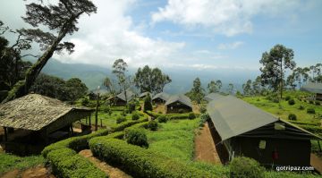 Memorable 4 Days 3 Nights Munnar, Alappuzha and Kochi Trip Package