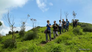 Memorable 4 Days 3 Nights Munnar, Alappuzha and Kochi Trip Package