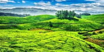 Memorable 4 Days 3 Nights Munnar, Alappuzha and Kochi Trip Package