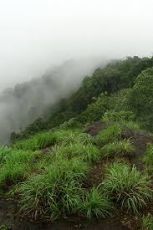 Amazing Thekkady Tour Package from Kovalam