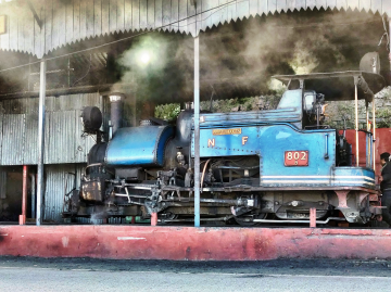 Heart-warming 4 Days Darjeeling Honeymoon Tour Package