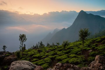 Ecstatic 8 Days Trivandrum Cochin to Thekkady Tour Package