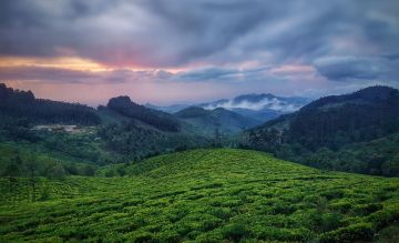 Best Ooty Tour Package for 7 Days 6 Nights