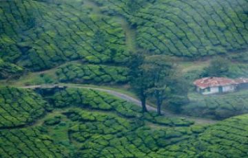 Pleasurable Thekkady Nature Tour Package from Kochi