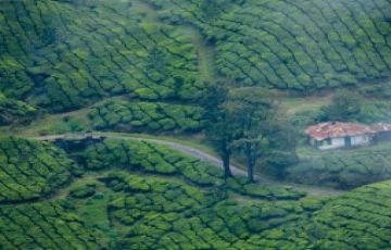 Family Getaway Munnar Tour Package for 7 Days from Trivandrum