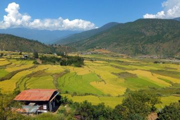 Magical 9 Days Phuentsholing to Thimphu Trip Package