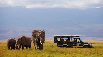 Family Getaway 8 Days Meru National Park Trip Package