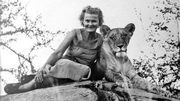 Family Getaway 8 Days Meru National Park Trip Package