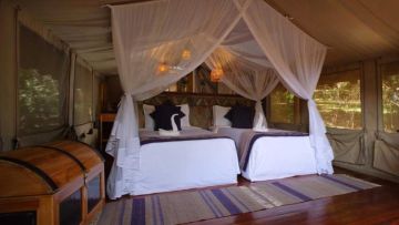 Experience Masai Mara Tour Package for 3 Days 2 Nights from Nairobi