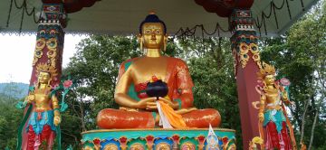 Best Dzuluk Tour Package for 5 Days 4 Nights from New Jalpaiguri