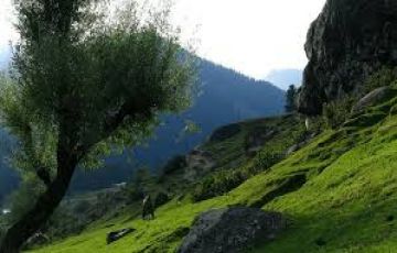 Pleasurable 4 Days 3 Nights Sonamarg Holiday Package