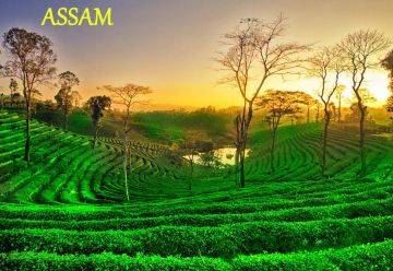 Amazing 6 Days Guwahati, Shillong with Cherrapunjee Tour Package