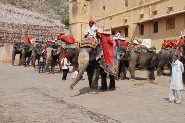 Amazing Bikaner Tour Package for 10 Days 9 Nights