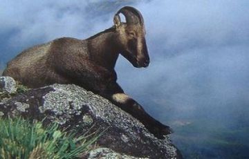 Amazing 4 Days Mararikulam to Alleppey Tour Package