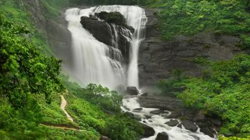 Heart-warming 4 Days Bangalore, Mysore, Travel To Coorg with Coorg Holiday Package