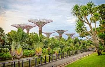 Amazing 6 Days 5 Nights Singapore Holiday Package