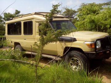 Experience 2 Days 1 Night Dar Es Salaam with Mikumi Morogoro Tour Package