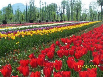 Amazing 5 Days 4 Nights Sonmarg Tour Package