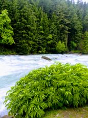 Amazing Delhi Honeymoon Tour Package for 4 Days