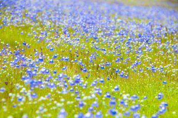 Ecstatic Satara Tour Package for 2 Days 1 Night