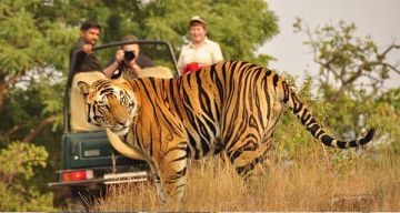 Memorable 6 Days Corbett Delhi to Nainital - Bhimtal - Sattal- Nainital Holiday Package