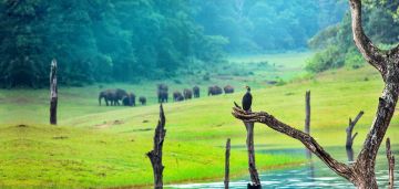 Munnar, Thekkady, Alleppey with Kovalam Tour Package for 7 Days 6 Nights