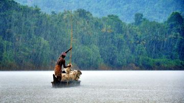 Cochin, Cochin To Munnar, Munnar and Munnar To Thekkady Tour Package for 6 Days