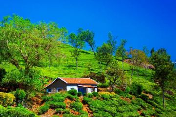 3 DAYS TRIP FROM BANGALORE - BEST OF OOTY & COONOOR
