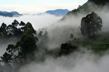 Coimbatore with Kodaikanal Tour Package from Coimbatore