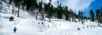 Magical 8 Days 7 Nights Dharamshala Tour Package