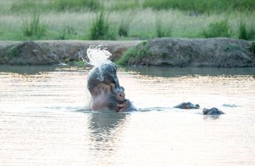 Heart-warming 3 Days Dar Es Salaam Vacation Package