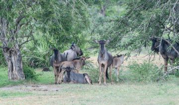 Heart-warming 3 Days Dar Es Salaam Vacation Package