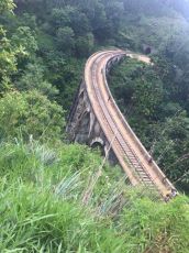 Pleasurable 9 Days Colombo to Kandy Trip Package