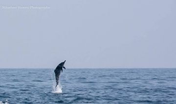 Pleasurable 9 Days Colombo to Kandy Trip Package