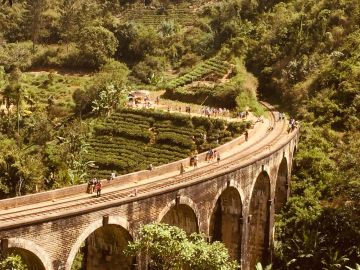 Beautiful Ella Tour Package for 7 Days