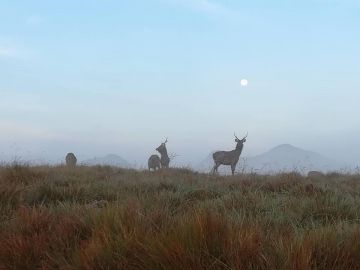 Beautiful Ella Tour Package for 7 Days