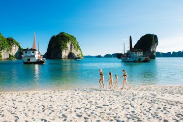 10 Days Hanoi Arrival Walking Tour, Hanoi City Tour, Hanoi Halong Bay and Halong Hanoi Fly To Hoian Trip Package