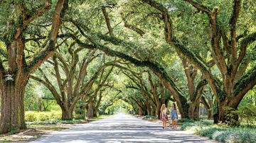 12 Days 11 Nights Arrival In Ho Chi Minh City Tour Package