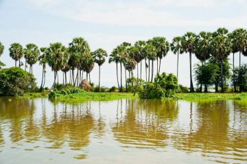 Experience 5 Days Saigon Departure to Can Tho - Cai Rang Floating Market - Saigon - Overnight In Saigon Vacation Package