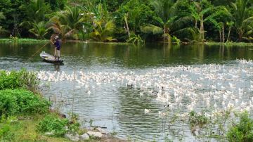 Experience 5 Days Saigon Departure to Can Tho - Cai Rang Floating Market - Saigon - Overnight In Saigon Vacation Package